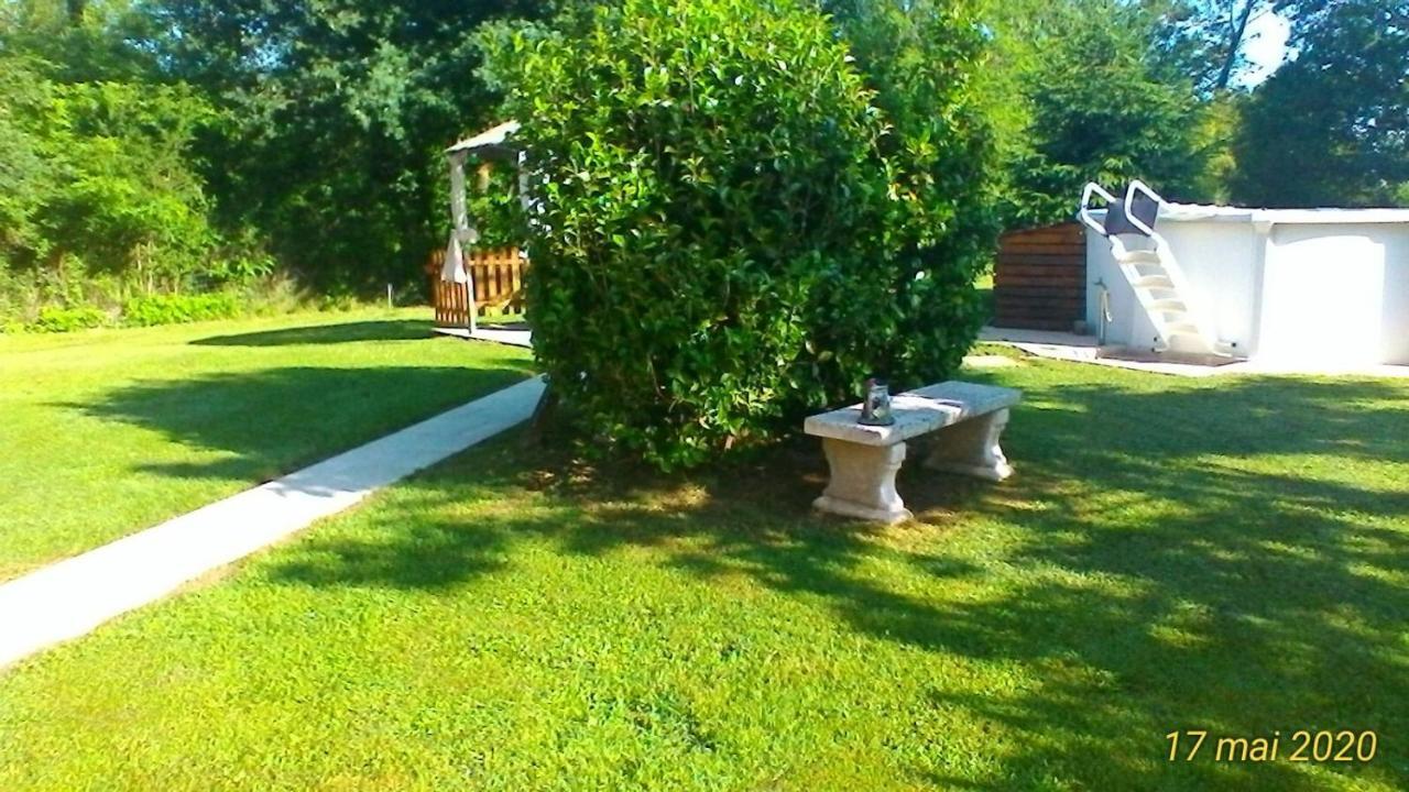 Le Clos Des Palombes Wifi Climatisation Saint-Pierre-du-Mont  Eksteriør billede