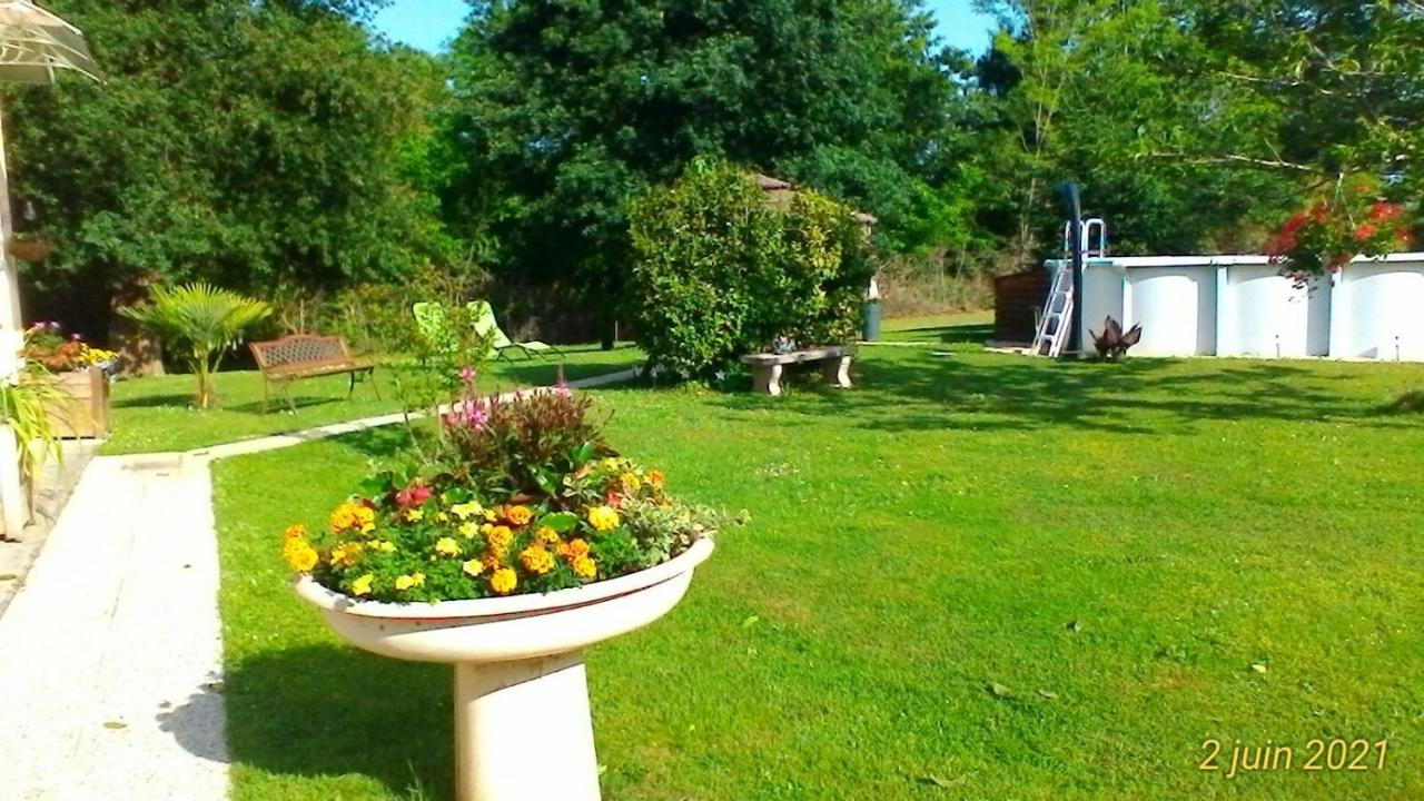 Le Clos Des Palombes Wifi Climatisation Saint-Pierre-du-Mont  Eksteriør billede