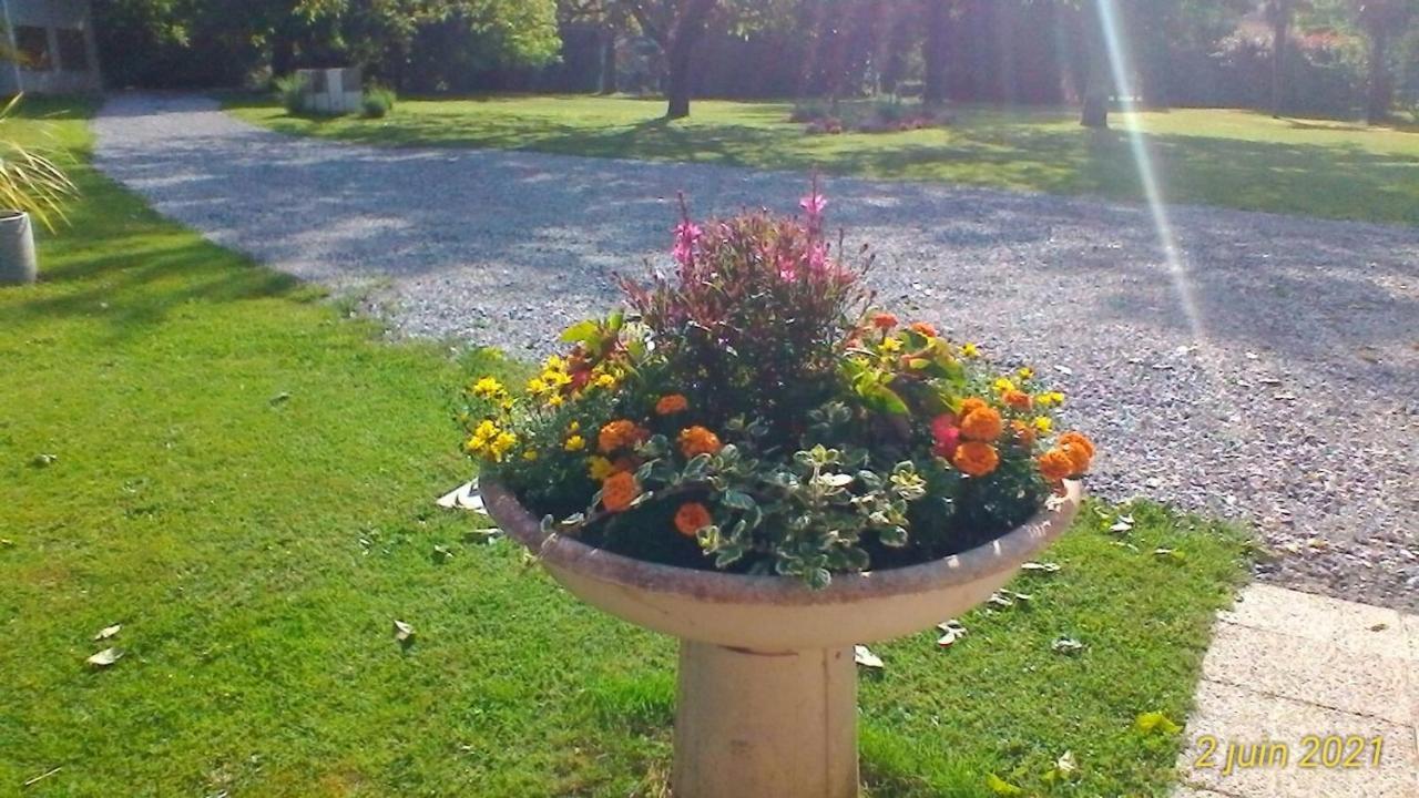 Le Clos Des Palombes Wifi Climatisation Saint-Pierre-du-Mont  Eksteriør billede
